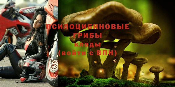 метадон Абаза