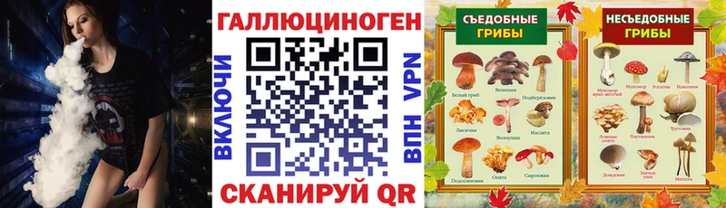 Галлюциногенные грибы Psilocybine cubensis  купить наркоту  Благодарный 